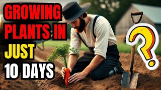 Amish Gardening Hacks That Save Thousands of Dollars [upl. by Niriam121]