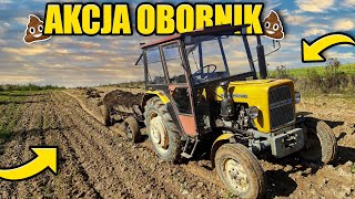 akcja obornik 2022 💩 czyli jesień pełną parą 🔥 Agro Vlog 12 RzP [upl. by Meeharbi]