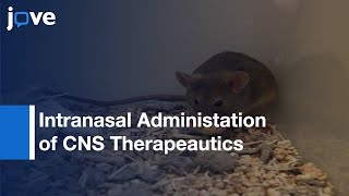 Intranasal adminitration of CNS Therapeautics  Protocol Preview [upl. by Kristina915]