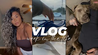 VLOG  Hyper Fixation Lunch Productive Days  Early Birthday Gift [upl. by Parrisch]