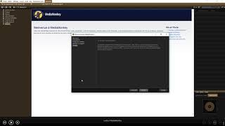 Installer et paramétrer l’application MediaMonkey Windows [upl. by Mulcahy]