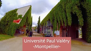 A Day in the Life  Université Paul Valéry Montpellier [upl. by Skeie290]