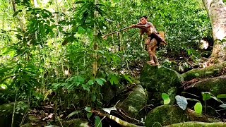 MELIHAT KEHIDUPAN SUKU DAYAK PUNAN YANG TINGGAL DI PEDALAMAN HUTAN KALIMANTAN [upl. by Faustine]