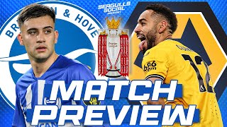 MATCH PREVIEW Brighton vs Wolves [upl. by Allianora244]