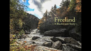 Freeland  A Blackwater Story Trailer [upl. by Gerhardt786]