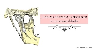 Anatomia da articulação temporomandibular  ATM PARTE I [upl. by Dachi]