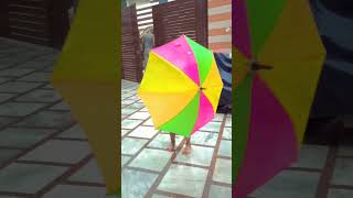 Koi ladki hai ☔☔  Barish aayi  barish monsoon rain shorts shortsfeed viralvideo [upl. by Atidnan]