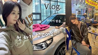 SUB ’첫 차 뽑고 소래포구가서 대하 먹는 일상 vlog  My first new car  홍보각  한방통닭  뽀서네랑 소래포구 [upl. by Giovanna414]