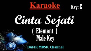 Cinta Sejati Karaoke Element Nada Pria Cowok Male Key G [upl. by Hartzke]