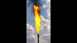 LYONDELLBASELL PETROCHEMICAL PLANT MORRIS IL DIVISION shorts fire naturalgas [upl. by Aivuy]