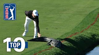 Top 10 Animal Encounters on the PGA TOUR [upl. by Eissolf]