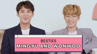 Seventeens Mingyu And Wonwoo Reveal Details On Their Friendship  Besties On Besties  Seventeen [upl. by Durtschi134]