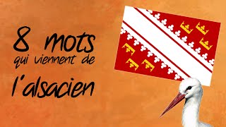 8 mots français empruntés à lalsacien  PTE HS2 [upl. by Whitney]