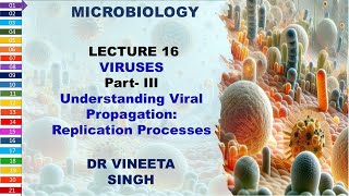 Understanding Viral Propagation Replication Processes [upl. by Piderit]