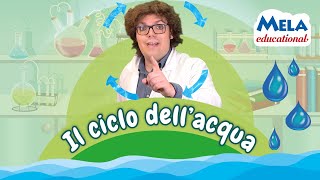 Il ciclo dellacqua  Renato lo scienziato Educational MelaEducational [upl. by Ynnhoj285]