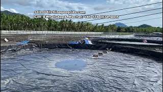 10mm HDPE geomembrane use for fish farm pond in the Philippines [upl. by Bevin]