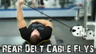 REAR DELT Cable Flyes Exercise  How To Build Up The Rear Deltoids [upl. by Yc]