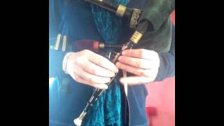 Northumbrian pipes  peasepuddin [upl. by Yuht]