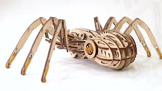 Spotlight on EWA EcoWoodArt Spider 3D Wood Kit [upl. by Annayat]