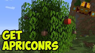 Minecraft How to Get APRICORN SEEDS in Cobblemon 2024 FAST [upl. by Babby]