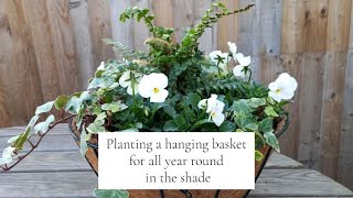 How to plant a hanging basket for all year round in the shade [upl. by Itsa48]