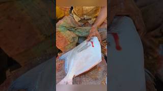 Big fish cutting skills fishcutting fishcuttingskills fishcuttingskills fishing fish shorts [upl. by Atnomed]