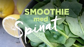 Smoothie med spinat på Vitamix a2500  Mads Bo laver en sund skipper skræk spinat smoothie  popeye [upl. by Asyla]