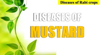 Diseases of Mustard  सरसों की बीमारियां और Management [upl. by Norrehs]