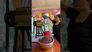 Grinding Cacao beans [upl. by Virgy]