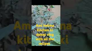 amihalima kitchen ki dawat vlog with all the recipes [upl. by Honoria]