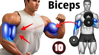 Bicep A Comprehensive Review for Arm Strength and Aesthetics [upl. by Gena]