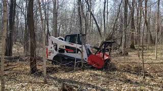 Bobcat T770 with Fecon Forestry Mulcher Part5 [upl. by Arhez]