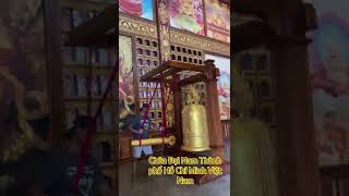 DaiNam Temple Hóc Chí Minh City vitamin vietnamtravel vietnamese view viralvideo viralshorts [upl. by Bernie]