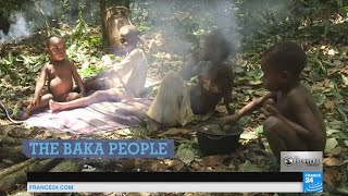 Baka pygmies the fight for survival of a threatened people [upl. by Nnylkoorb]