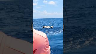 Fishing 20 Miles Offshore When We Caught This… shorts fishing [upl. by Wesley]