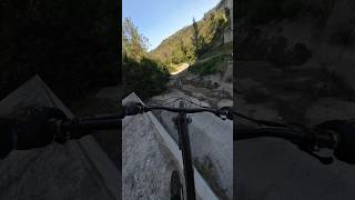 How to turn your mountain bike wheel into a 50 cent coin shorts mtb djiaction4 [upl. by Akeemat]