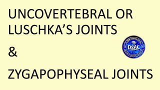 Luschkas or Uncovertebral Joints  Zygapophyseal joints  Dr Azmi Mohsin [upl. by Gleda]