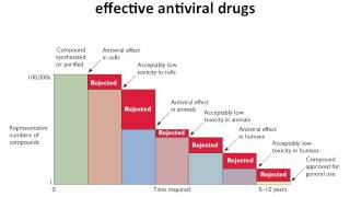 Virology 2013 Lecture 21  Antivirals [upl. by Ydnew537]