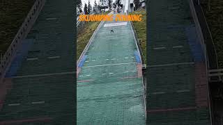 Skijumping in Hinterzarten YoTeTGツ skijumpingfamily skijumpingworldcup [upl. by Anelah371]