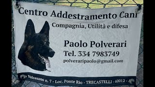 Addestramento Mia con Paolo Polverari [upl. by Witt961]