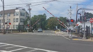 Secatogue Ave level crossing Farmingdale NY [upl. by Nerak128]