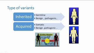 62 Mutation and variants part TWO Types and classifications [upl. by Ainival]