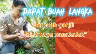 Dapat Buah Langka [upl. by Crissie]