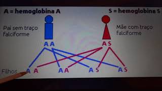 Aconselhamento Genético  Traço Falciforme [upl. by Homans12]