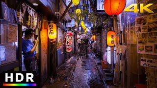 Tokyo Rainy Night Walk in Shinjuku  4K HDR Spatial Audio [upl. by Elik]