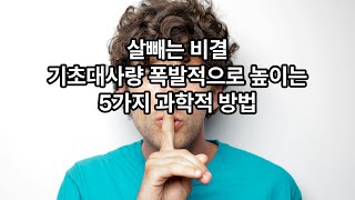 살빼는 비결 기초대사량 폭발적으로 높이는 5가지 과학적 방법 [upl. by Groos]