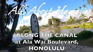 quotALONG THE ALA WAI CANALquot canoeing AlaWaiCanal hawaii [upl. by Jolyn]