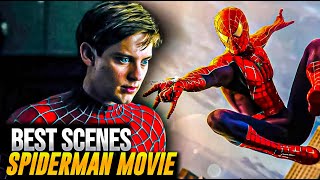 The Best Scenes On Spiderman Movie [upl. by Reprah21]