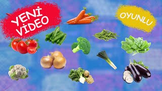 🍅 🥕 SEBZELERİ ÖĞRENİYORUZ  Çocuklar İçin  Okul Öncesi Eğitim [upl. by Eldora]