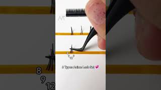 6 Anime Lash Types 🥰 Do u love anime lashes lashtips lashartist lashlove [upl. by Eiffub]